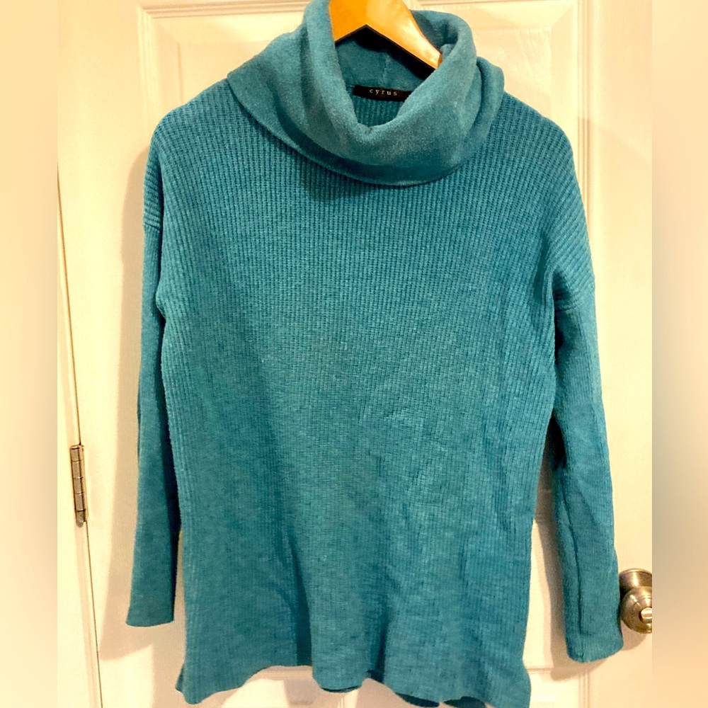 Thick Turtleneck Sweater